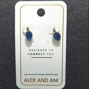 Alex and Ani Swarovski crystal earrings